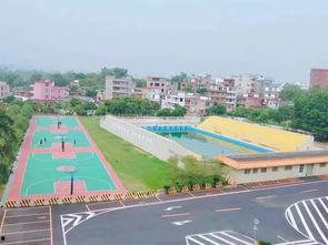 罗定罗职院吃瓜,揭秘校园风云录