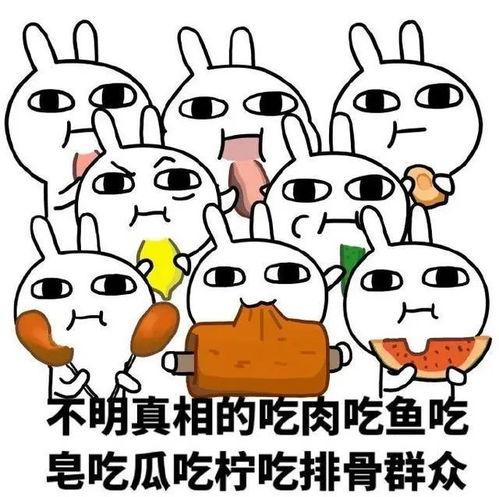 带你吃瓜之动画篇,动画篇，揭秘幕后故事与精彩瞬间